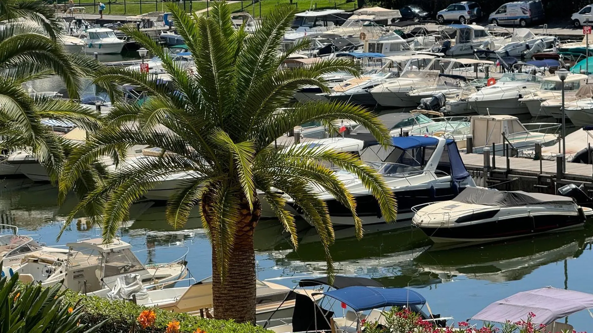 Cannes Marina Mandelieu France